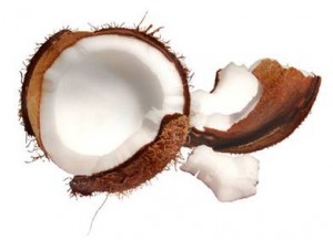 coconu2