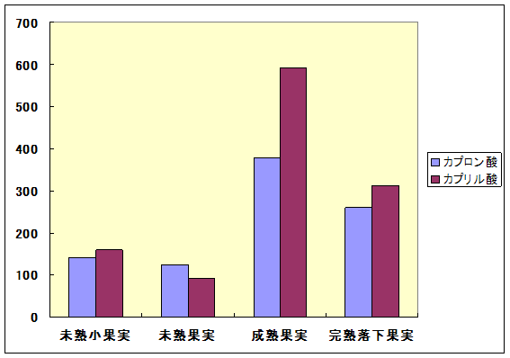 jyamun1