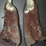 DSCN3702