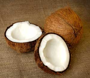 Coconut n
