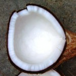 coconu1