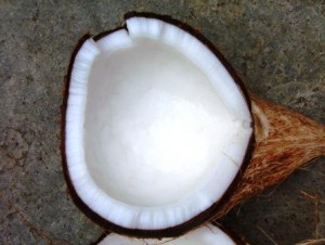 coconu1