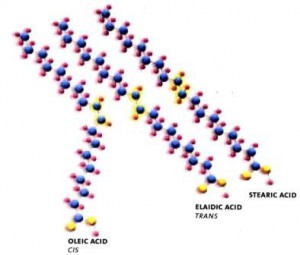 cis_trans-fattyacids