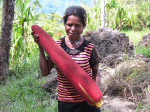 Wamena 11.2.09058