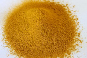 C. xanthorrhiza powder