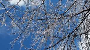 20160202_131139