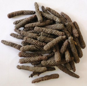 Javanese long pepper M&K 1