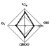 1O2（ワン・オー・ツー）作用図