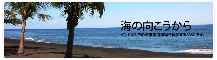 M&Kラボラトリーズメインイメージ画像