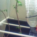 201001041242000