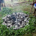 Bakar Batu 1