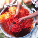 Wamena 11.3-5.09004