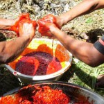 Wamena 11.3-5.09007web