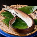 hamo