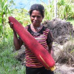 Wamena 11.2.09058