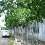 CIMG0365