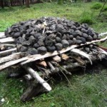 Bakar Batu 0