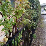 20161017_084921