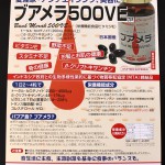 BM500VE 1