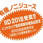 IID2018 Noni M&K 斜体