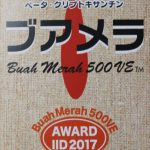 BM500VEPackage