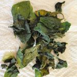Binahon leaf 2020-10 M&K