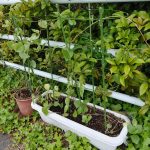 IMG01113_HDR