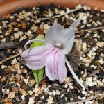IMG01210_HDR