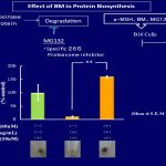 BM protease