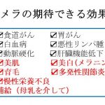 efficacy of BM