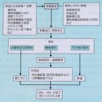 骨粗しょう症　臨床像