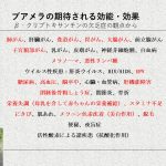 スライド3