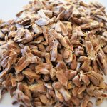 Noni seeds 1000px