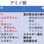 アミノ酸