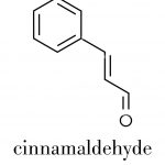 cinnamaldehyde-cinnamic-aldehyde-cinnamon-flavor-molecule-skeletal-formula-2HFHNAK