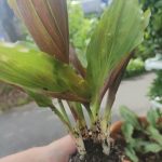 IMG03172_HDR