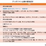 アンダリマン山椒の香気