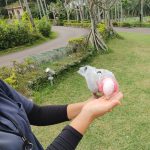 東南植物楽園６