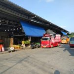 IMG00142