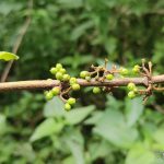 IMG00474_HDR