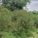 IMG00814_HDR