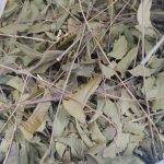 IMG01519_HDR