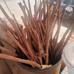IMG01521_HDR