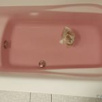 IMG01737