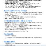 BMadvertizement 修正　16