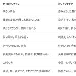 WhatsApp画像 2025-07-04 14.33.40_58545ebf