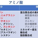 アミノ酸