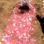 Tomb Waspodo