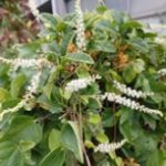 cbf5b9f60da99bf791c0aa12a770f429